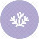 Tree Branches Sticks Icon