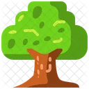 Tree  Icon