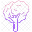 Tree Nature Plant Icon