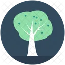 Tree Forest Ecology Icon