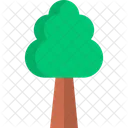 Tree  Icon