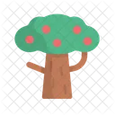 Tree  Icon