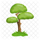 Tree  Icon