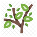 Tree  Icon