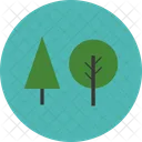 Tree  Icon