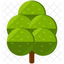 Large Park Tree Icon