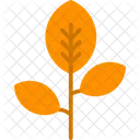 Tree Branch Tree Herb Icon