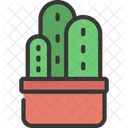 Triple Plant  Icon