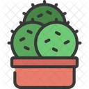 Triple Plant  Icon