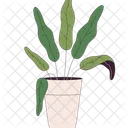 Tropical houseplant in flowerpot  Symbol