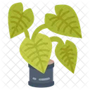 Tropical Plant Ferns Aroids Symbol