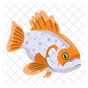 Fishing Vector Fish Icons Sea Creature Icon