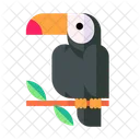 Tucan Icono