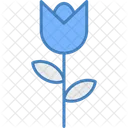 Tulip Flower Nature Icon