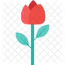 Tulip Flower Blossom Icon