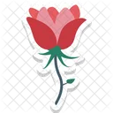 Tulip Flower Blossom Icon