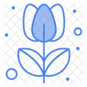 Tulip  Icon