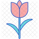 Tulip  Icon