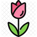 Tulip Flower Plant Icon