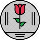 Tulip Flower Growth Icon