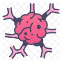 Tumor Cancer Human Icon