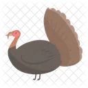 Turkey Chicken Bird Icon