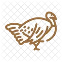 Turkey Bird  Icon