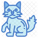 Turkish Cat  Icon