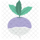 Turnip White Turnip Fodder Radish Icon