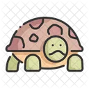 Turtle Animal Pet Icon