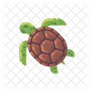 Turtle  Icon