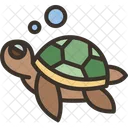 Turtle Marine Wildlife Symbol