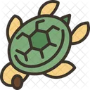 Turtle Sea Marine Symbol