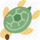 Turtle Sea Marine Symbol