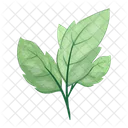 Leaves Twig Green Icon