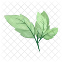 Leaves Twig Green Icon