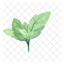 Leaves Twig Green Icon