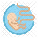 Medical Healthy Ultrasonography Icon