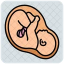 Ultrasonography  Icon