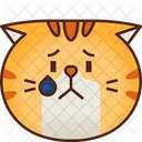 Upset Emoticon Cat Icon