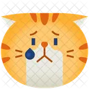 Upset Emoticon Cat Icon