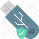 Usb secure  Icon