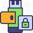 Usb Security  Icon