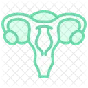 Uterus Duotone Line Icon Icon