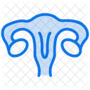 Uterus Female Organ Icon