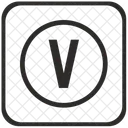 Letter Virtual V Icon