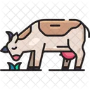 Vaca  Icono