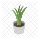 Vase Plant Interior Home Icon