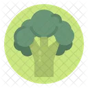 Vegetal Vegetariano Brocoli Icono