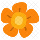 Vinca Vinca Flower Blossom Icon